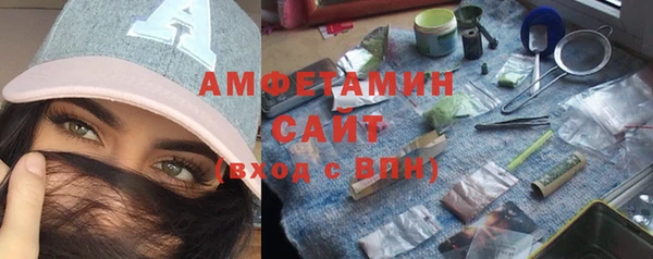 прущие грибы Пересвет
