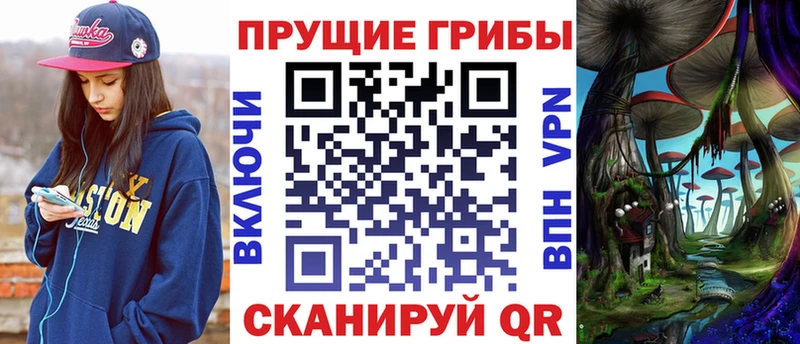 цены   Алзамай  Псилоцибиновые грибы Psilocybe 